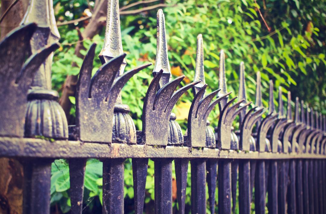 Guest post: embracing the grey - Ashley Ng